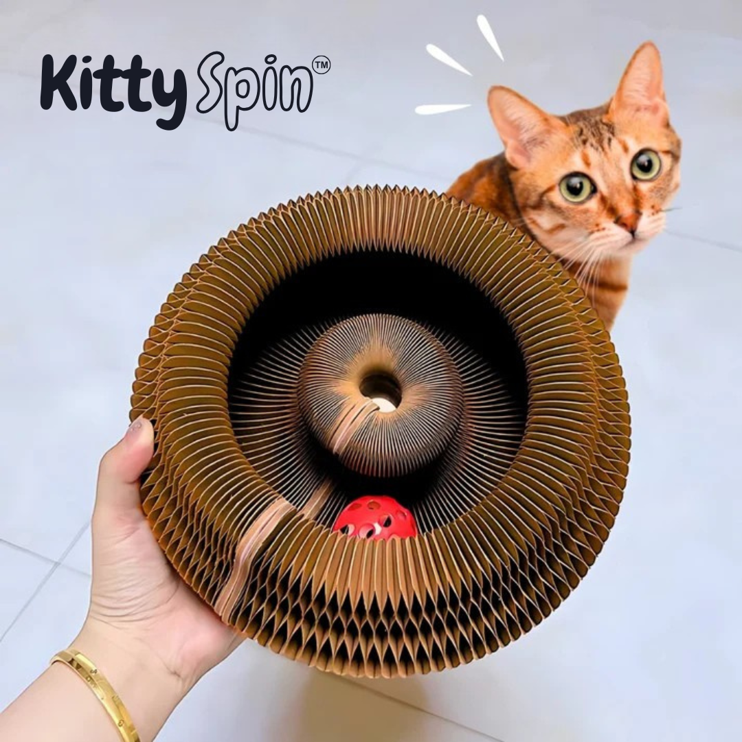 Griffoir interactif pour chats