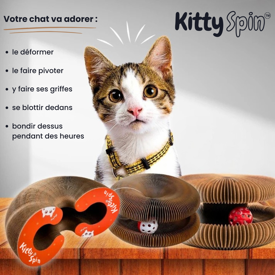 Griffoir interactif pour chats